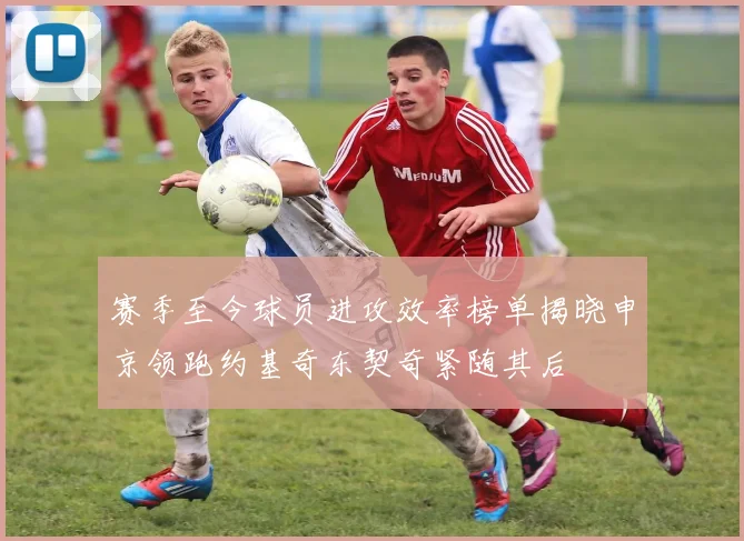 赛季至今球员进攻效率榜单揭晓申京领跑约基奇东契奇紧随其后