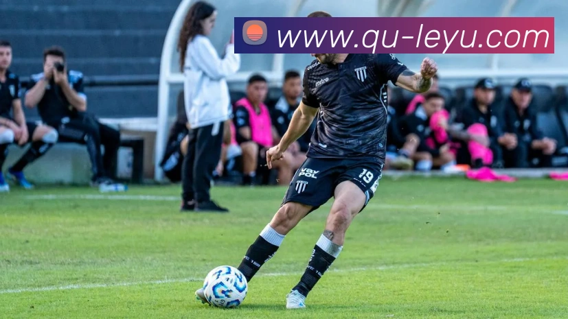 乐鱼体育平台生态图